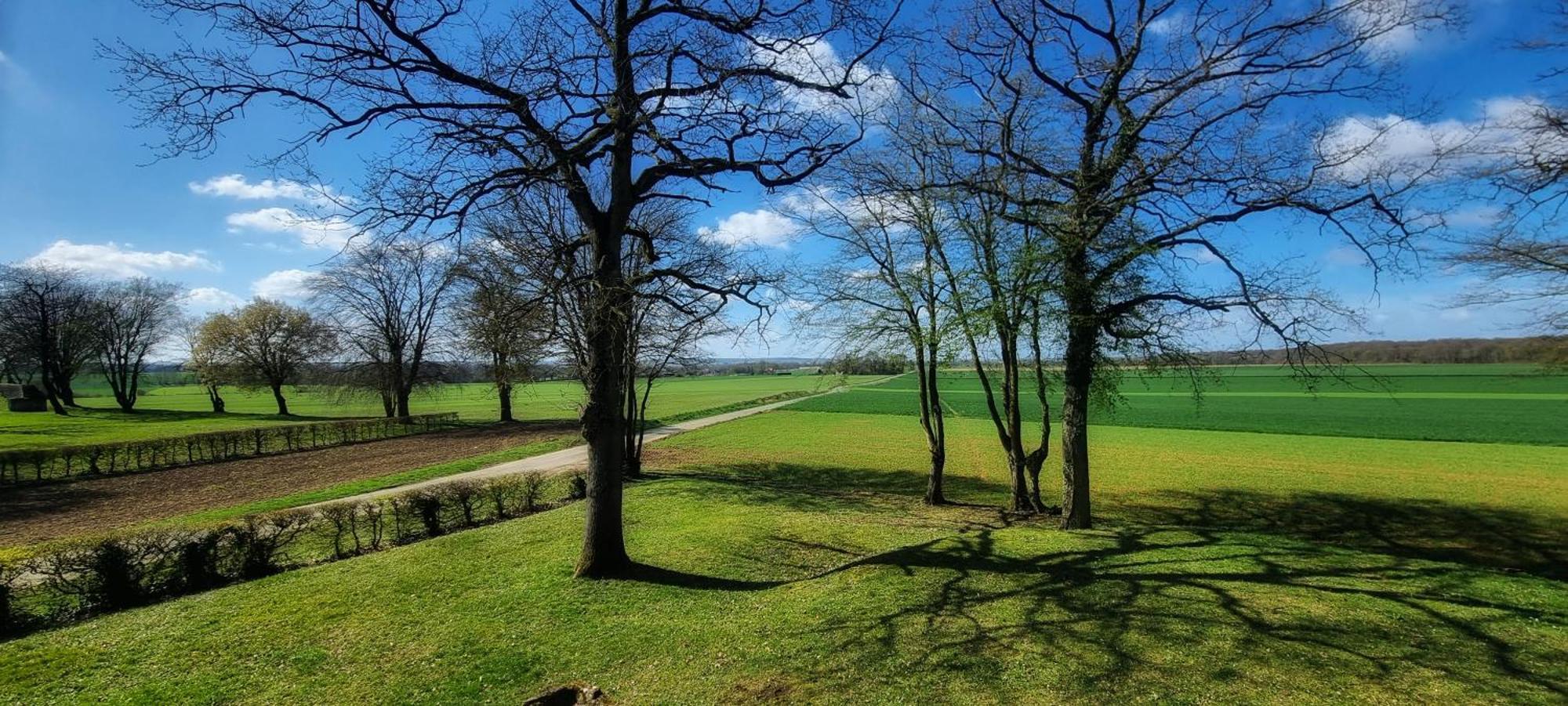 Gite Du Grand Frene Orrouy Exterior foto